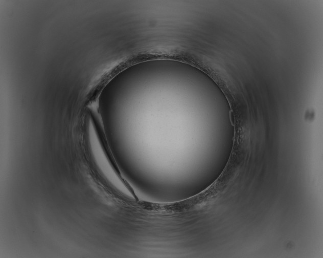 X0000092210688200710051137