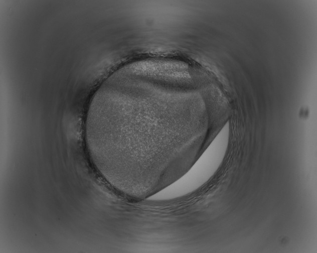 X0000092210689200710051137