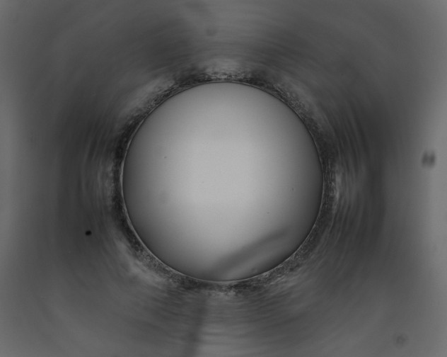 X0000092210690200710051137