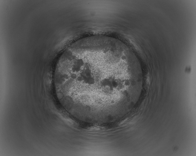 X0000092210691200710051137