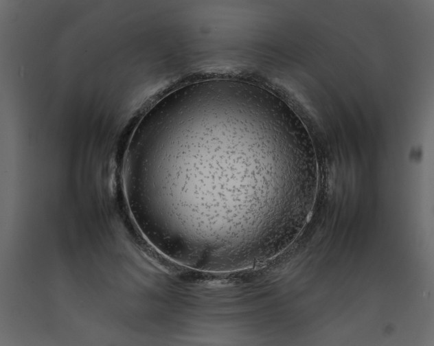 X0000092210692200710051137