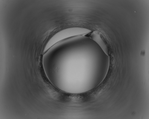 X0000092210693200710051137