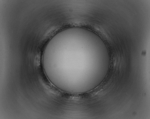 X0000092210694200710051137