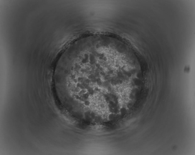 X0000092210695200710051137