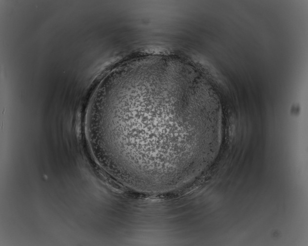 X0000092210696200710051137