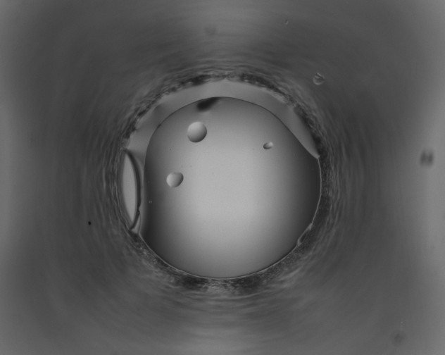 X0000092210697200710051137