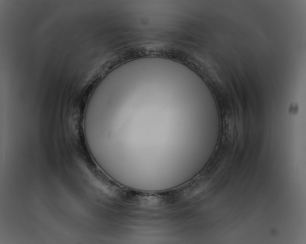 X0000092210698200710051137