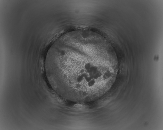 X0000092210699200710051137