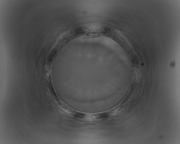 X0000092210701200710051137