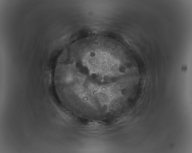 X0000092210703200710051137