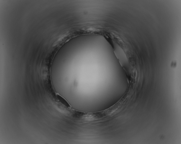 X0000092210704200710051137