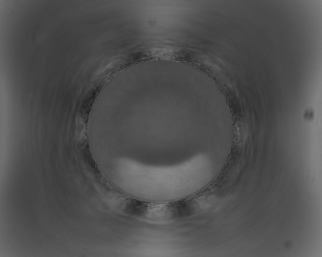 X0000092210705200710051137