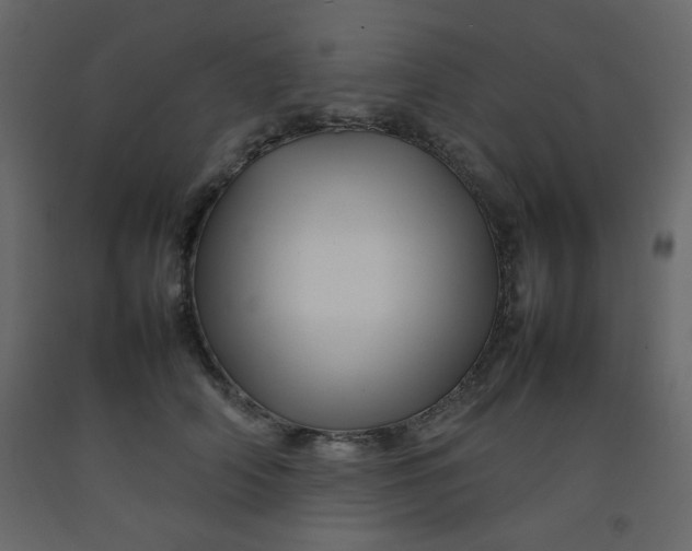 X0000092210706200710051137