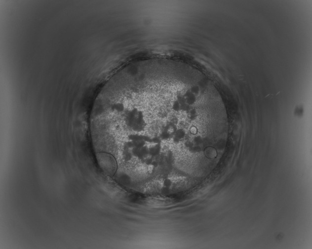 X0000092210707200710051137