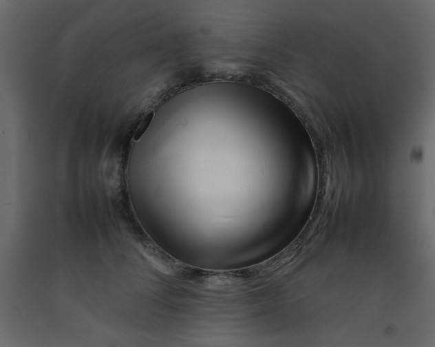 X0000092210708200710051137