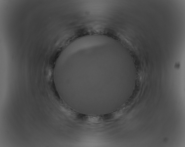 X0000092210709200710051137