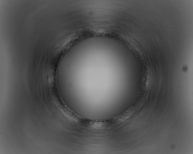 X0000092210710200710051137