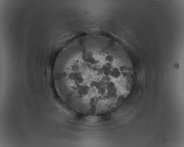 X0000092210711200710051137