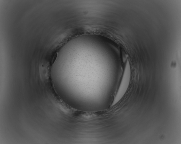 X0000092210712200710051137