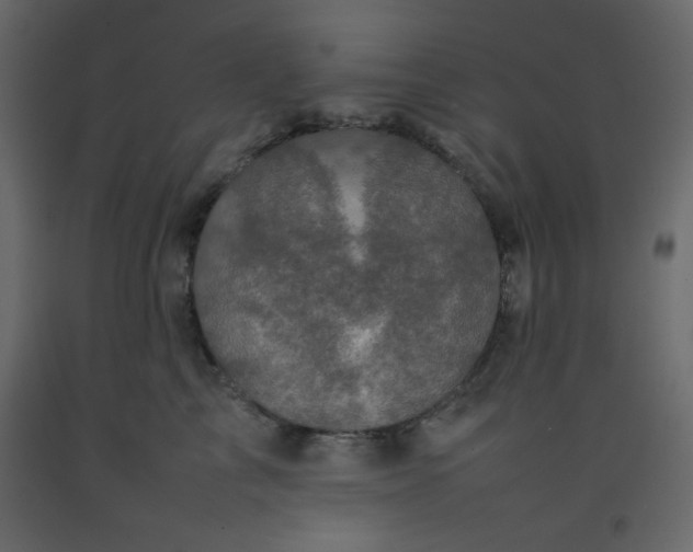 X0000092210713200710051137