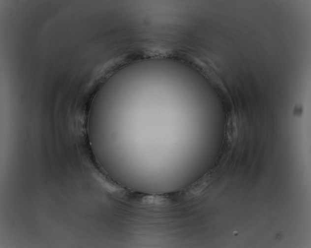 X0000092210714200710051137