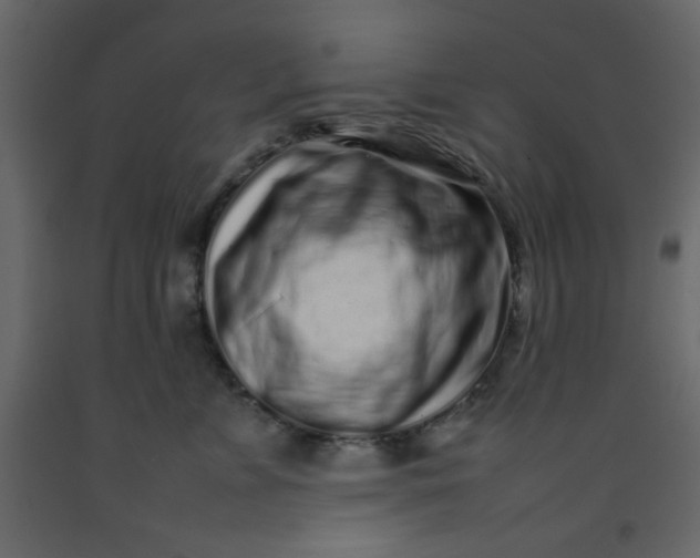 X0000092210715200710051137