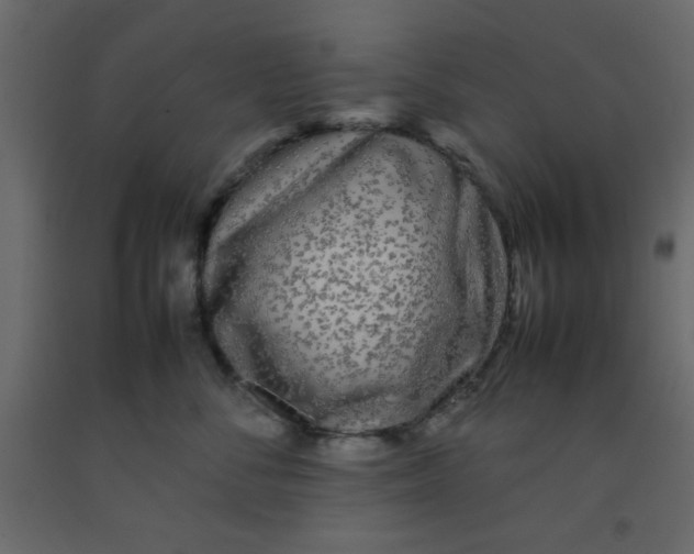 X0000092210716200710051137