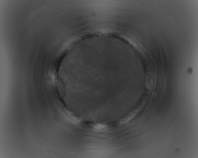 X0000092210718200710051137