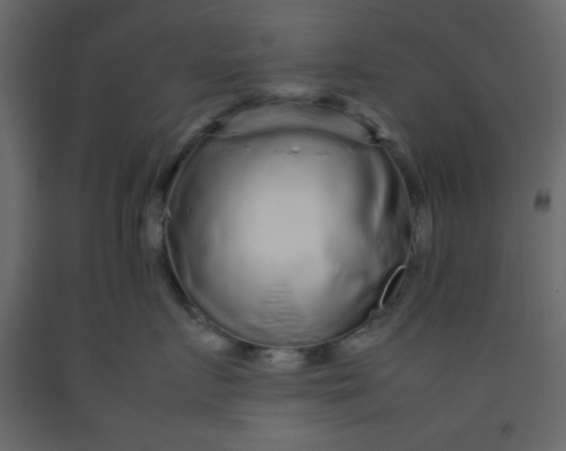 X0000092210719200710051137