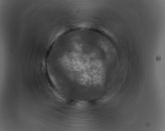 X0000092210720200710051137