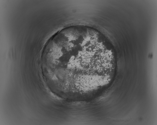 X0000092210721200710051136