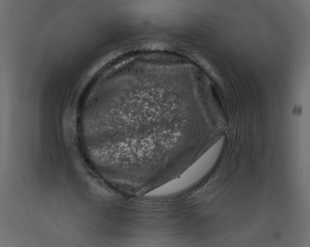 X0000092210722200710051136