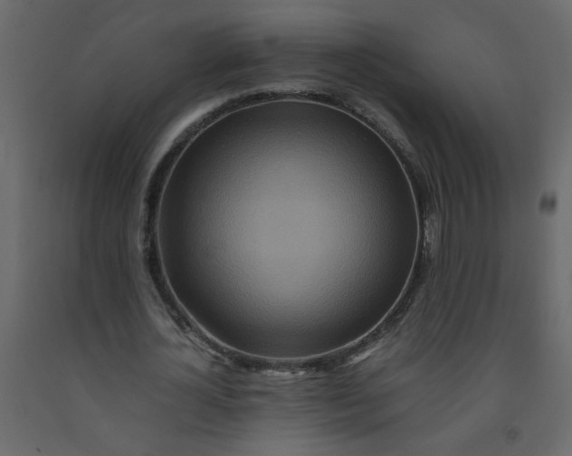 X0000092210724200710051136