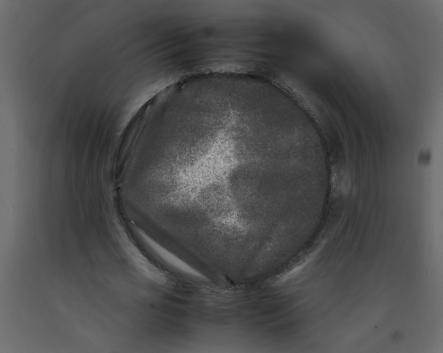 X0000092210725200710051136