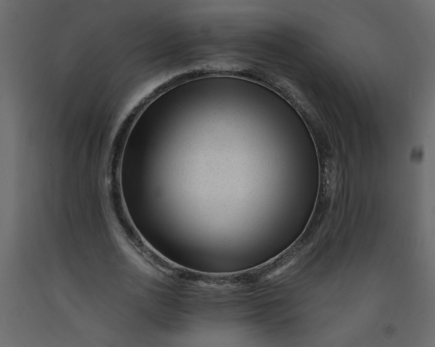 X0000092210726200710051136