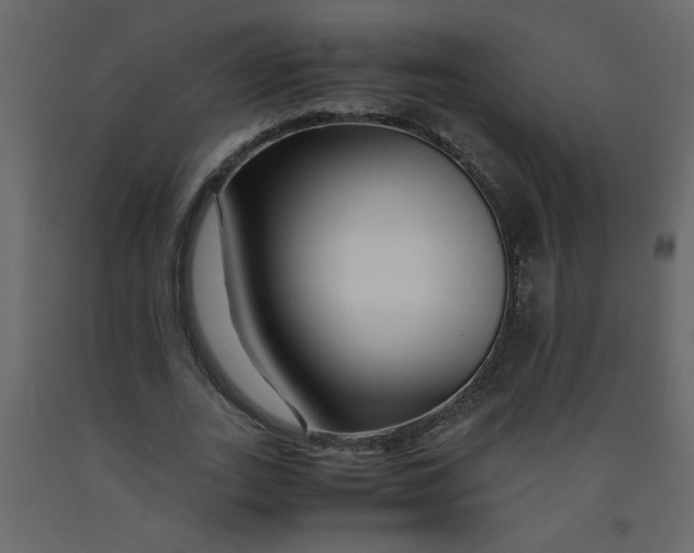 X0000092210727200710051136