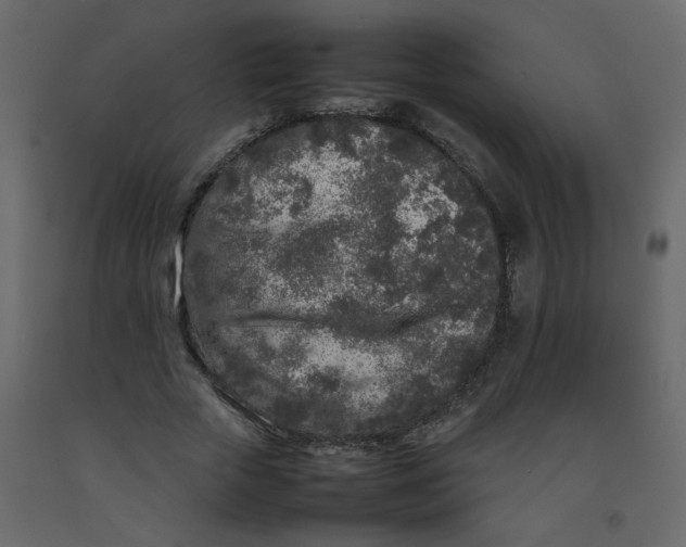 X0000092210729200710051136