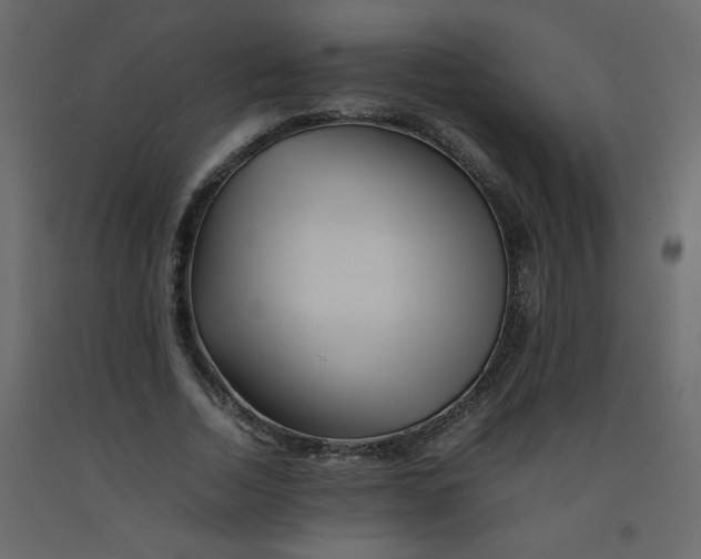 X0000092210730200710051136