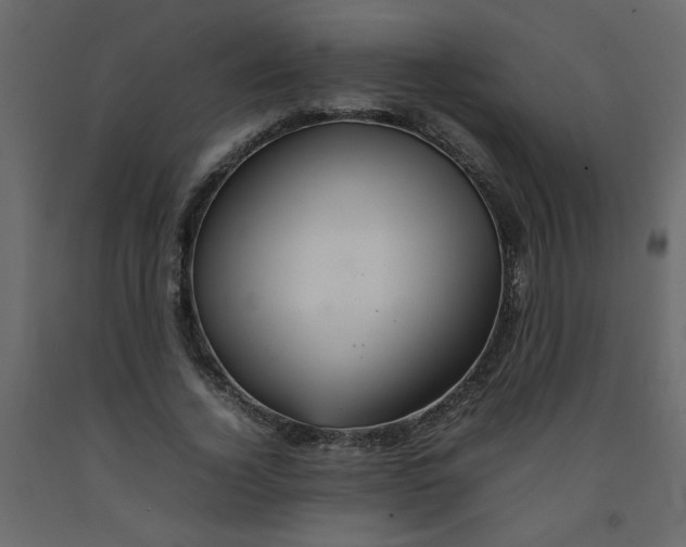 X0000092210732200710051136