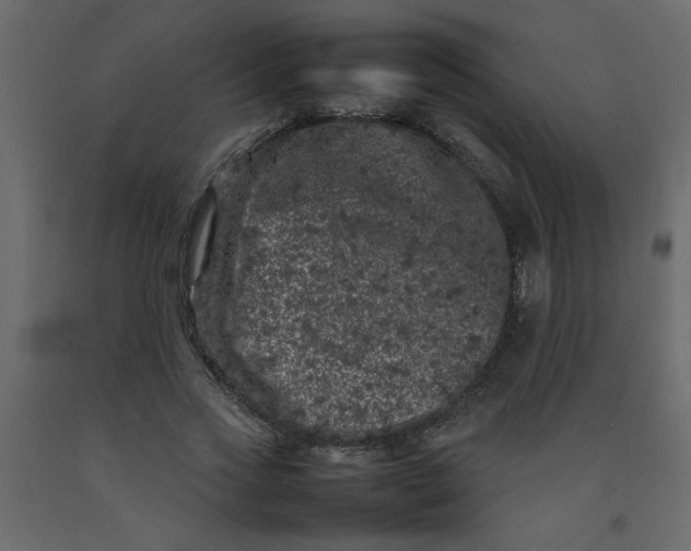 X0000092210733200710051136