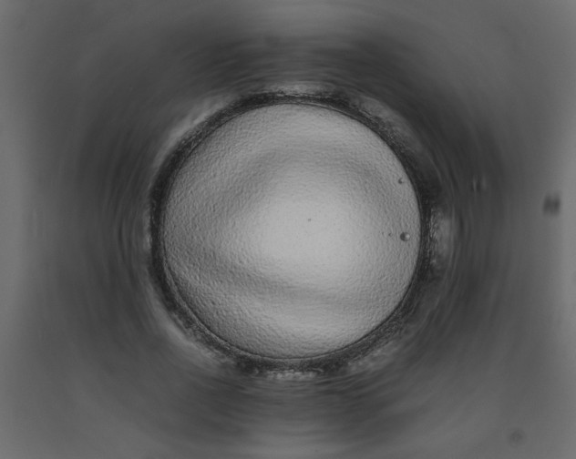 X0000092210734200710051136