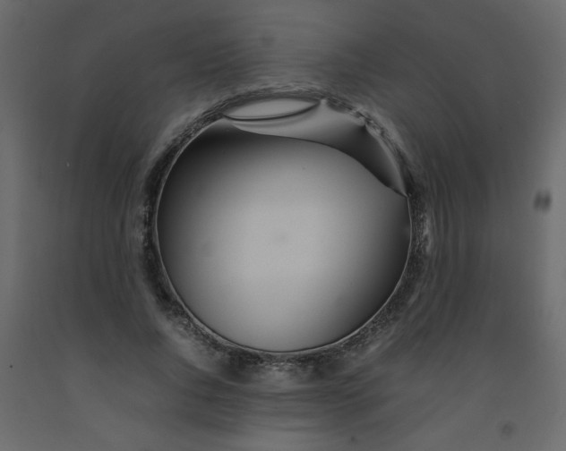 X0000092210736200710051136