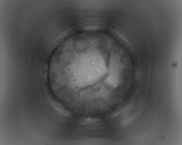 X0000092210737200710051136