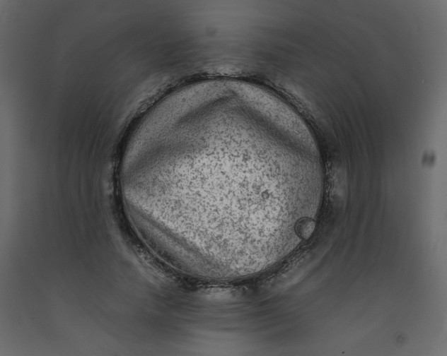 X0000092210738200710051136