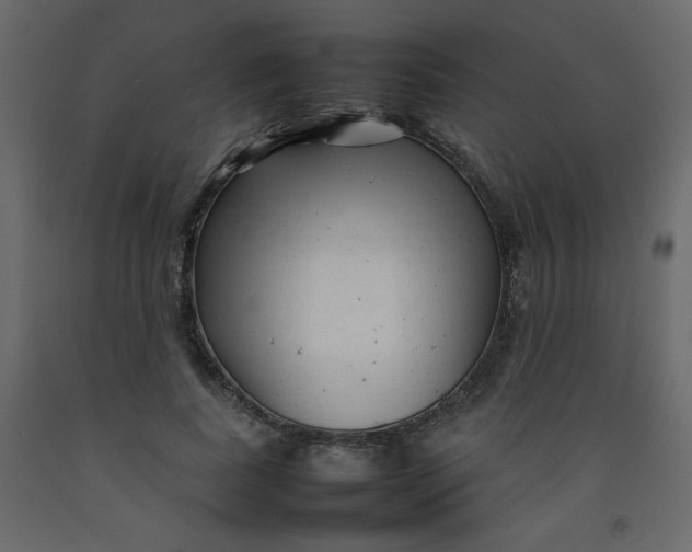 X0000092210739200710051136