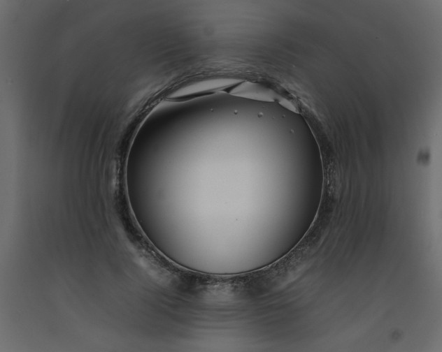 X0000092210740200710051136