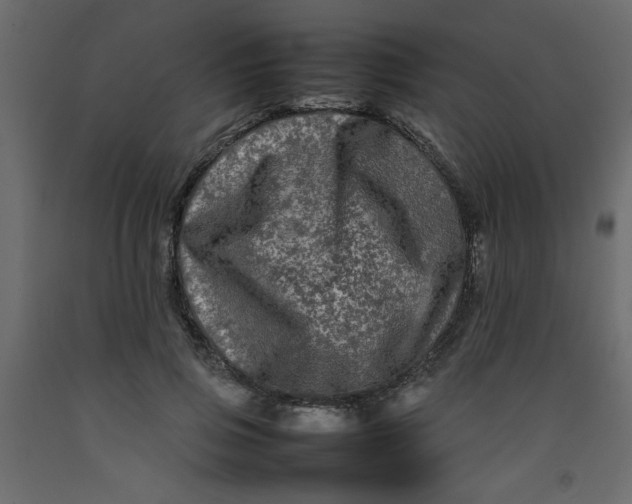 X0000092210741200710051136