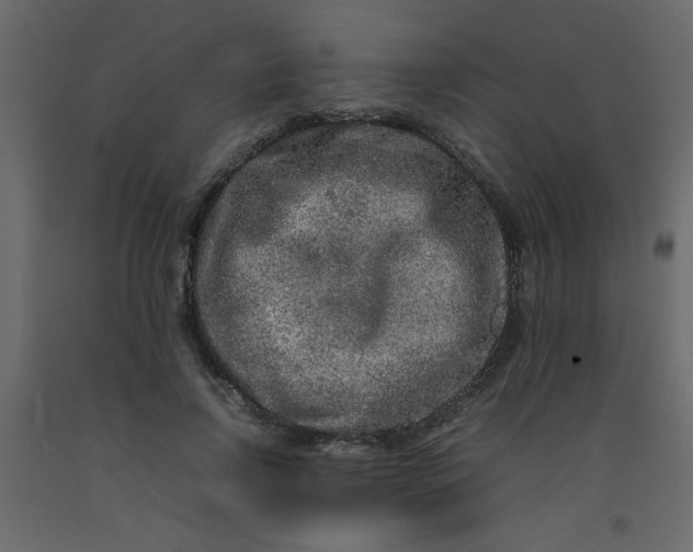 X0000092210742200710051136