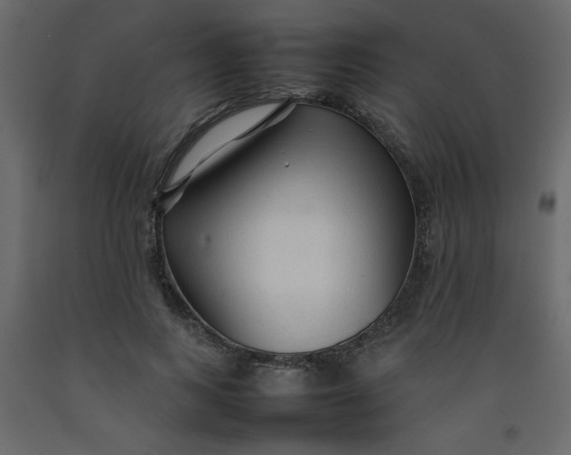 X0000092210743200710051136