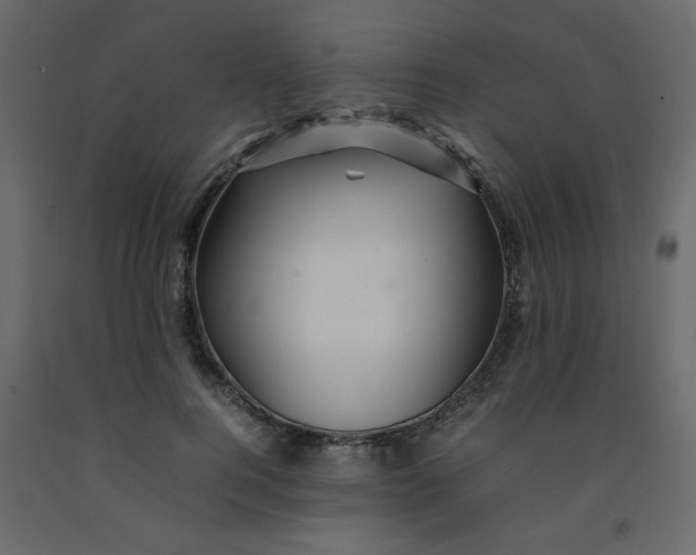 X0000092210744200710051136